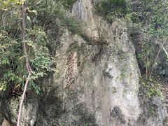 -花溪公园