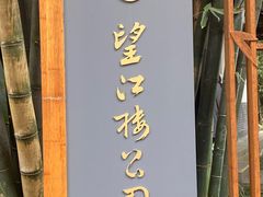 -望江楼公园