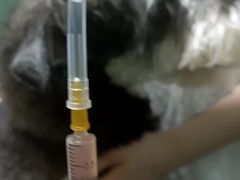 -严国平动物医院(德政总院)