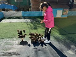 -萌宠亲子动物乐园(槐房万达店)