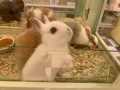 -龙猫仔乐园(惠福东路店)