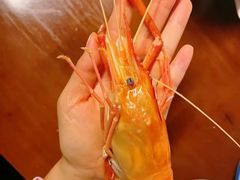 -蟹村草堂·苏式园林人文农家·大闸蟹