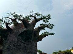 -苏州湾梦幻水世界