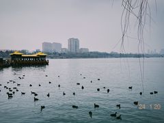 -济南大明湖景区
