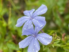 -上海植物园-4号门售票处