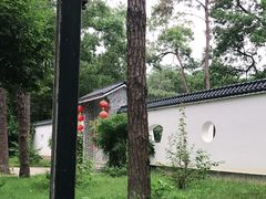 -金山植物公园