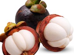 -营口路海鲜市场