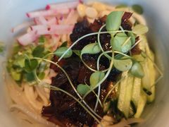 -喜悦烤鸭·新京菜(王府井店)