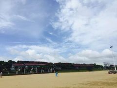 -碧海金沙