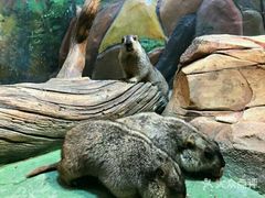 -华夏文旅海洋公园