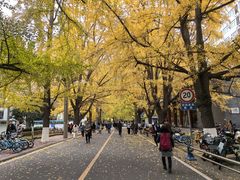 -四川大学(望江校区)