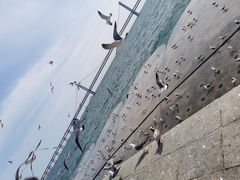 -星海广场