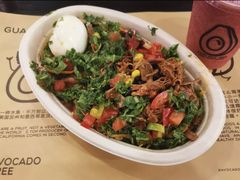 -油梨树 AVOCADO TREE(亮马桥店)