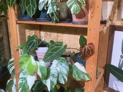 -Rabbit Cafe私房西餐甜点咖啡(栖霞路店)