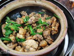 土鸡-华仔土鸡店(创意产业园店)