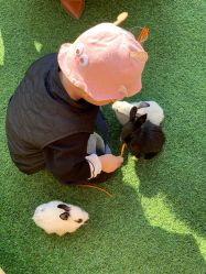 -萌宠亲子动物乐园(槐房万达店)