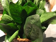 -鼎鼎香·港式火锅(北京SKP店)