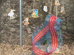 -华侨城湿地公园