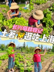 -前小桔亲子创意农场·草莓采摘·露营烧烤