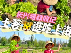 -前小桔亲子创意农场·草莓采摘·露营烧烤