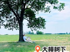 -良渚古城遗址公园