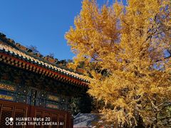 -阳台山自然风景区