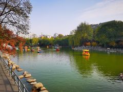 -莲湖公园