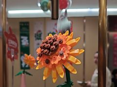 -海底捞火锅(赛格国际购物中心店)