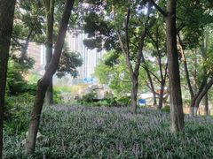 -成都市活水公园