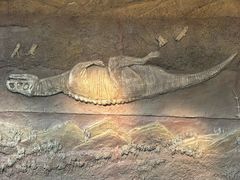 -安徽省地质博物馆