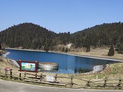 -武陵山森林公园