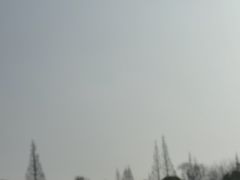 -上海佘山国家森林公园东门地面停车场