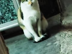 -海宁煲农家菜(惠南镇店)