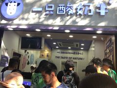 -一只酸奶牛(八一路店)