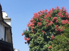 -桂林灵渠景区