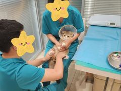 -美迦爱-牙专科·兔科·骨科诊疗中心(北苑店)