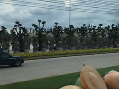 -东芭乐园