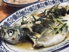 清蒸白水鱼-洞天食府(北大街店)