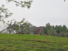 -凤凰沟景区