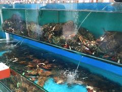 水产区-港畔赶海蒸汽海鲜烧烤自助(仙螺岛店)