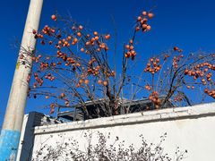 -辛庄国际文化艺术区