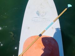 -WhaleSports户外水上运动俱乐部(朝阳公园店)