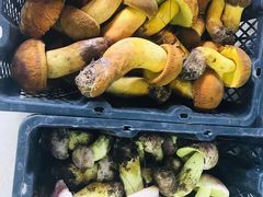 -双喜农庄·菌香园(安居家园店)