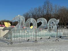 -沈阳奥体冰雪嘉年华