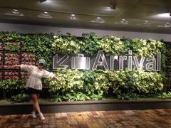 -樟宜机场免税店