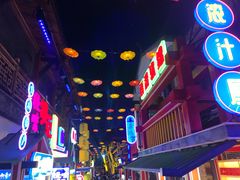 -鸿恩陶然大观园