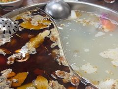 -肥婆麻辣火锅.顺德首创药材麻辣火锅(容桂店)