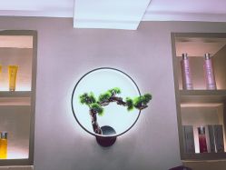 -HQ半永久纹绣纹眉