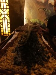 -升艾堂亚健康调理中心