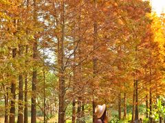 -桤木河湿地公园